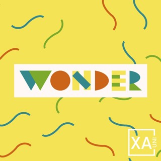 Wonder Part 4 - The Wonder of Restoration