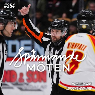 #254 Marcus Linde, ishockeydomare