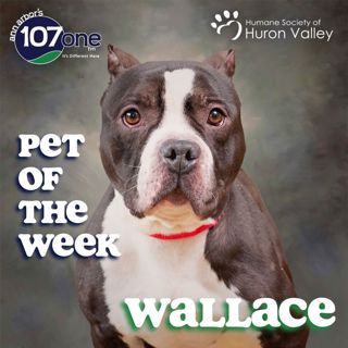 a2VV: HSHV Pet of the Week 2/26/26