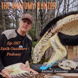 THE ANATOMY HUNTER | Bowhunting Animal Anatomy 101