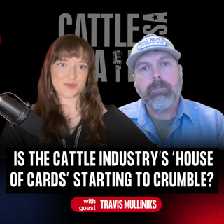 404: Is the Cattle Industry’s “House of Cards” Starting to Crumble? with Travis Mulliniks