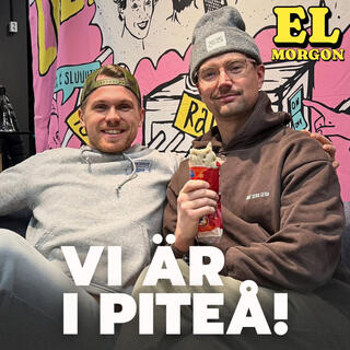 #77 ELMORGON - Vi är i PITEÅ! | Den dolda industrin i norr | Elektriker med hemlig kund