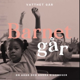 738. Barnet Går - Reyhaneh Ahangaran, "Så gör du om du misstänker att ditt barn har ADHD"