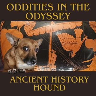Oddities in the Odyssey