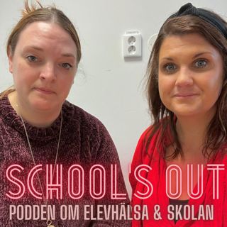 #37 Socialtjänsten: Mottaget. Intervju med Ronja & Camilla, socialsekreterare Socialtjänsten mottaget, Göteborg