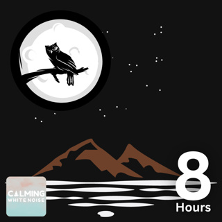 Owl Sounds near Murky Creek (8 Hours) | Forest Creek at Night Ambience