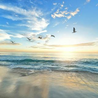 😴🌊🎵 OCEAN WAVES and Soothing SYMPHONY for Fast SLEEP