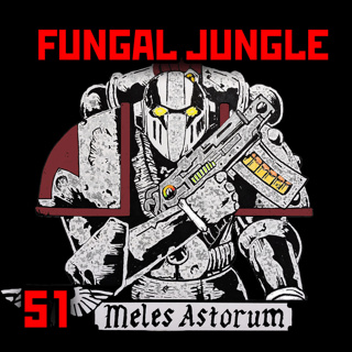 51: Meles Astorum Lore Pt1 | Warhammer 40K Lore