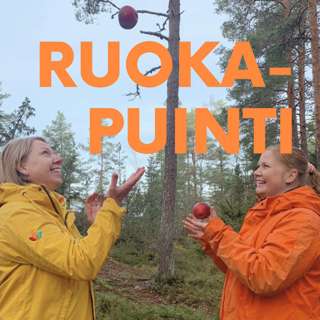 rss-ruokapuinti