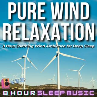 🎐 Pure Wind Relaxation | 8 Hour Soothing Wind Ambience (No Music) | Natural White Noise for Deep Sleep & Relaxation 💤