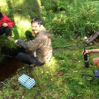 De mäter hur skogen läcker växthusgas