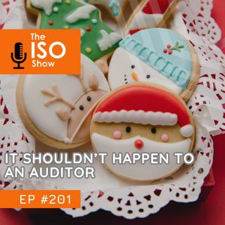#201 It Shouldn't Happen To An Auditor