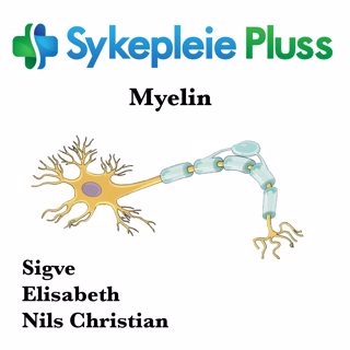 Myelin