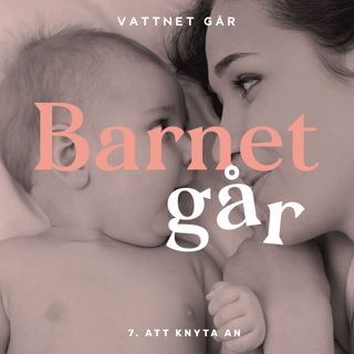 156. Barnet Går - Frida Trönnberg, "Idag älskar jag henne över allt annat"