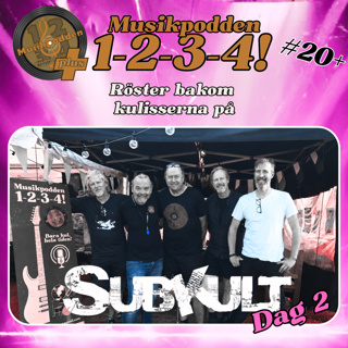 #20+ Röster bakom kulisserna på Subkult, Dag 2