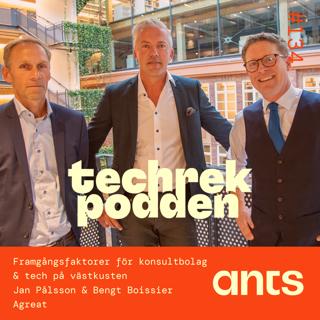 134. Framgångsfaktorer för konsultbolag & tech på västkusten med Jan Pålsson & Bengt Boissier - Agreat