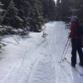Vålådalen-Sylarna-Helags kan bli Sveriges största nationalpark