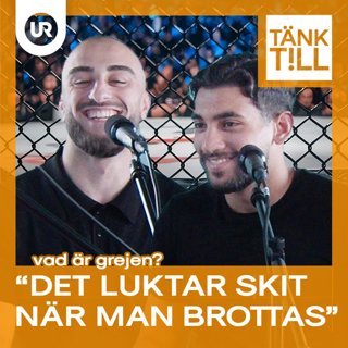Vad är grejen med MMA-killar?