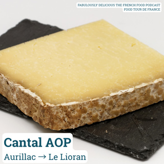 Cantal AOP: The Oldest Cheese in France