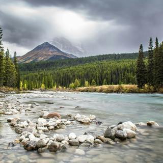 😴💧🎵 Perfect Harmony Between the SOUND of the RIVER and Soothing MUSIC for a Deep SLEEP