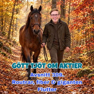 309. Routrar, fiber & giganten Flutter