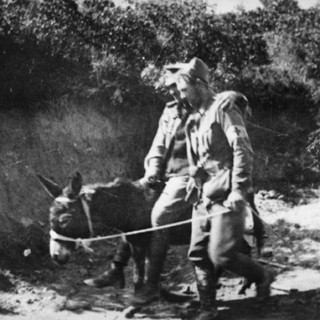 Episode 6.3 The man with the donkey