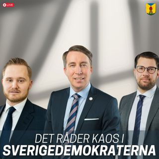 Kaos i Sverigedemokraterna: Kan Åkesson sitta kvar?