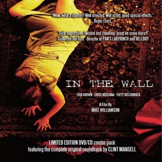 (VIDEO) ENTERTAINING SHORT FILMS: IN THE WALL (HORROR)