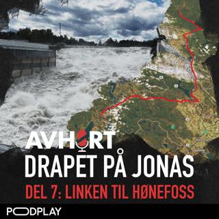 Drapet på Jonas Del 7: Linken til Hønefoss