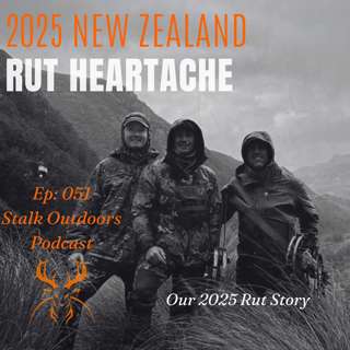 NZ Fallow Buck Bowhunt Heartache
