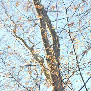 Best of Awake in the World: Love - Sometimes We Can Really Show Up