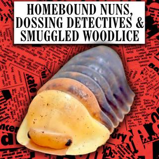 Homebound Nuns, Dossing Detectives & Smuggled Woodlice