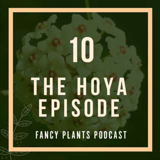 10. The Hoya Episode