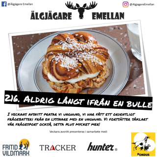 216. Aldrig långt ifrån en bulle