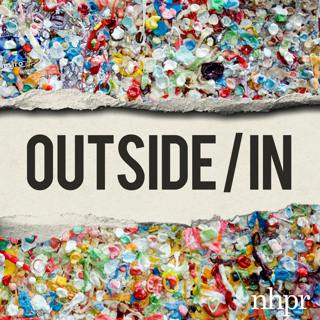 The Microplastics Cleanse