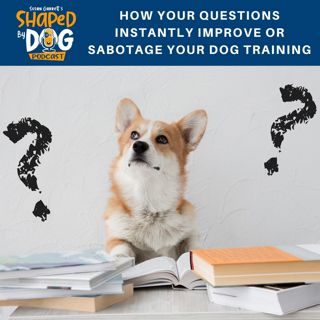 How Your Questions Instantly Improve or Sabotage Your Dog Training #49
