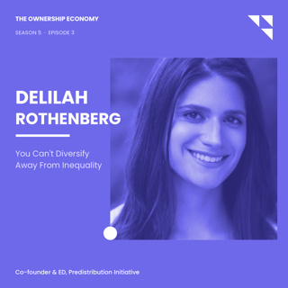 Delilah Rothenberg on The Predistribution Initiative: You Can't Diversify Away From Inequality