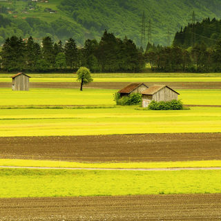 99 – Nine Fields of Zen Practice: A Framework for Letting Practice Permeate Your Life – Part 2