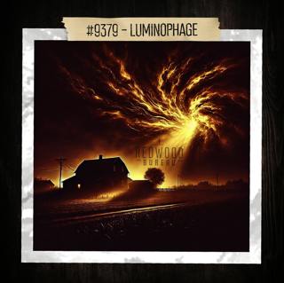 "LUMINOPHAGE" - Redwood Bureau Phenomenon #9379