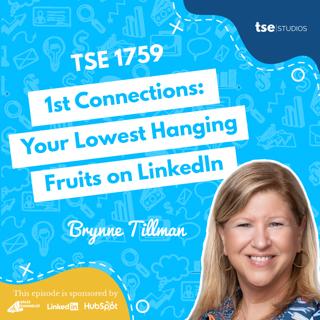 1st Connections: Yours Lowest Hanging Fruits on LinkedIn | Brynne Tillman - 1759