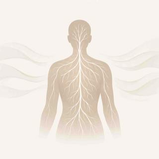 3945: Everything You Need to Know About Your Nervous System by Kate Hesse of Nourish Nest Breathe
