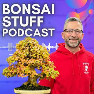 Season 8 Episode 5 - Leave Your Pines in Peace, Skill of Waiting