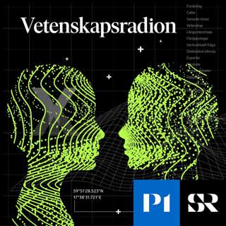 Vetenskapsradion