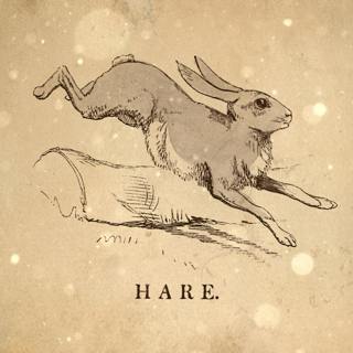 Loremen S6Ep26 - The King Hare
