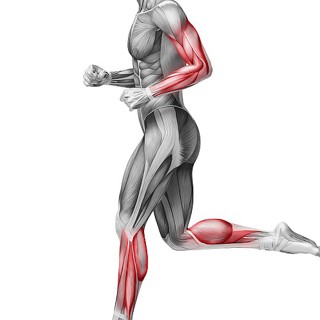 Podcast # 329: Hypokalemic Periodic Paralysis