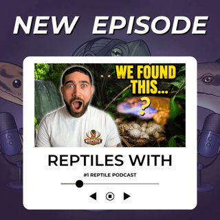 Secret Herping Adventures Revealed! & Why Reptile Dads Are Useless.. | Reptiles With Podcast