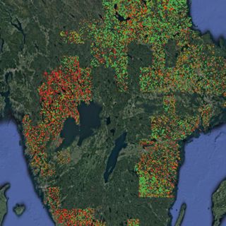 Skogsfredag #120 - JRC/GFC och fjärranalys, virkespriser och halvårspodd