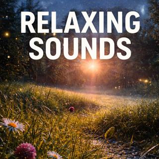 Relaxing Sounds | Night Crickets | Sleep,Relax,Study 8 Hours