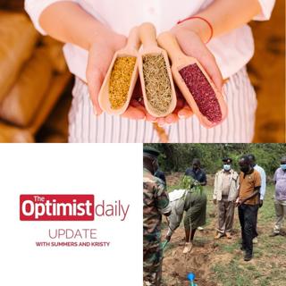 Sustainable Spices & How Kenyan Community Regrew its Forest