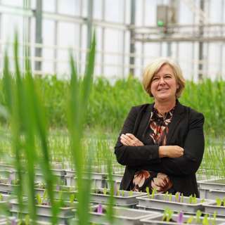 Microbes at Work: Nature-Based Crop Protection in Action